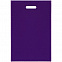Набор Welcome Pack, фиолетовый с логотипом  заказать по выгодной цене в кибермаркете AvroraStore
