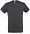 Фуфайка (футболка) REGENT мужская,Серый меланж XXS с логотипом  заказать по выгодной цене в кибермаркете AvroraStore