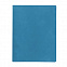 Бизнес-блокнот "Biggy", B5 формат, голубой, серый форзац, мягкая обложка, в клетку с логотипом  заказать по выгодной цене в кибермаркете AvroraStore