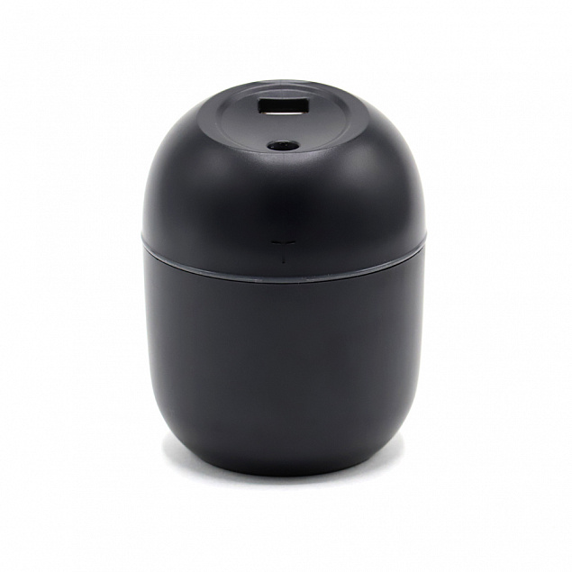 Светодиодный USB увлажнитель Egg - Черный AA с логотипом  заказать по выгодной цене в кибермаркете AvroraStore