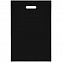 Чехол для пропуска Shall, черный с логотипом  заказать по выгодной цене в кибермаркете AvroraStore