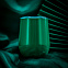 Кофер глянцевый CO12 (зеленый) с логотипом  заказать по выгодной цене в кибермаркете AvroraStore