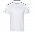 Рубашка поло Рубашка 104 Серый меланж с логотипом  заказать по выгодной цене в кибермаркете AvroraStore