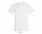 Фуфайка (футболка) REGENT мужская,Фуксия XXS с логотипом  заказать по выгодной цене в кибермаркете AvroraStore