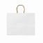 Пакет бумажный MAPLE, Белый с логотипом  заказать по выгодной цене в кибермаркете AvroraStore