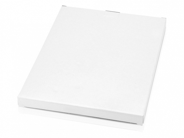 Папка для документов «Делос» с логотипом  заказать по выгодной цене в кибермаркете AvroraStore