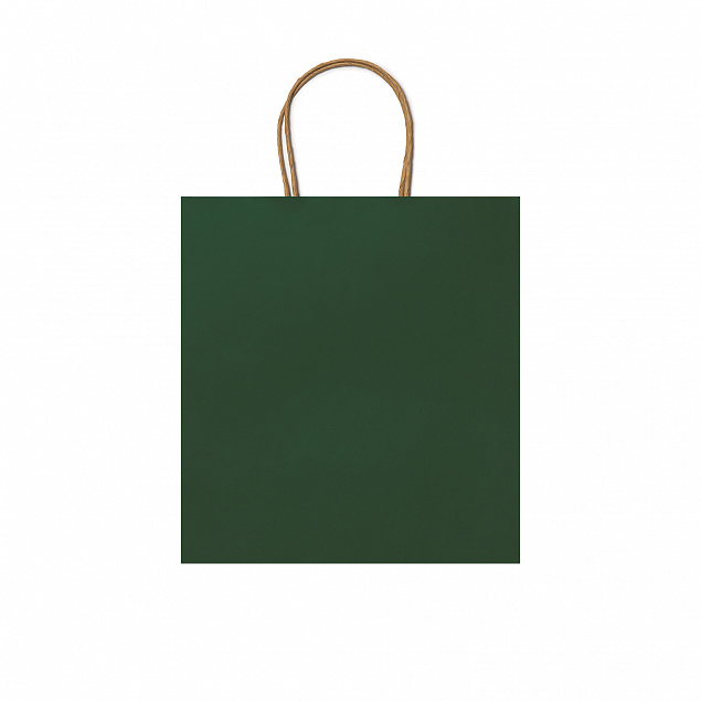 Пакет бумажный HAYA, Папоротниковый с логотипом  заказать по выгодной цене в кибермаркете AvroraStore
