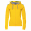 Толстовка Толстовка 17W Жёлтый с логотипом  заказать по выгодной цене в кибермаркете AvroraStore