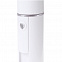 Увлажнитель для лица  Nano Beauty  Device с логотипом  заказать по выгодной цене в кибермаркете AvroraStore