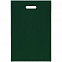 Чехол для пропуска Shall, зеленый с логотипом  заказать по выгодной цене в кибермаркете AvroraStore