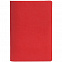 Набор Devon mini, красный с логотипом  заказать по выгодной цене в кибермаркете AvroraStore