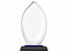 Награда Flame с логотипом  заказать по выгодной цене в кибермаркете AvroraStore